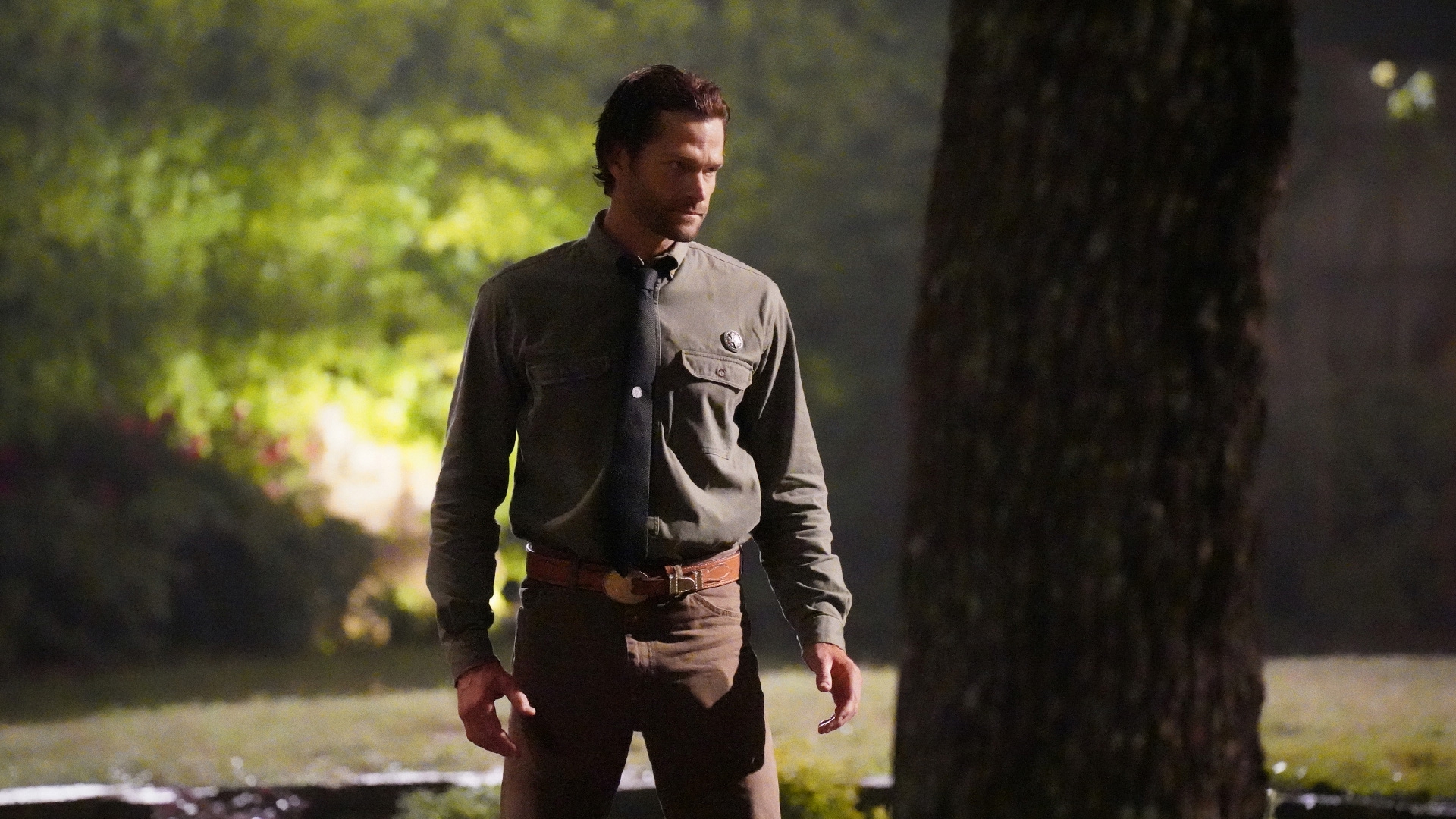 Watch Walker TV Show Stream in HD Only on Stan.