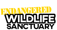 Endangered Wildlife Sanctuary