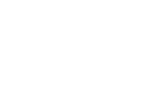 Life In Colour With David Attenborough