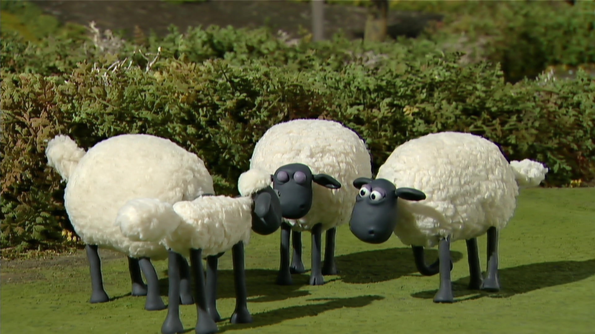 Watch Shaun the Sheep Online | Stream Seasons 1-5 Now | Stan