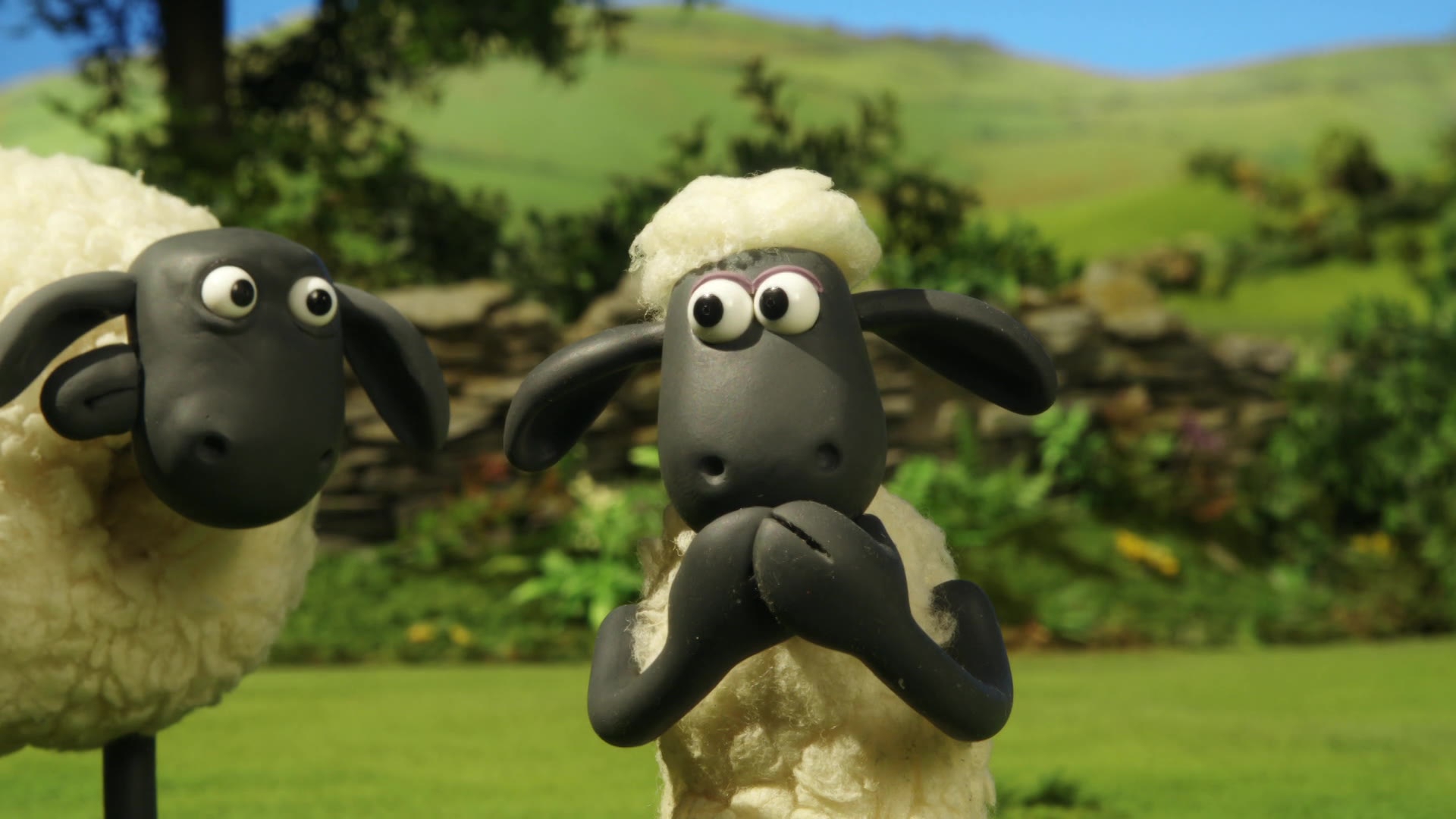 Watch Shaun the Sheep Season 3 Online | Stream TV Shows | Stan