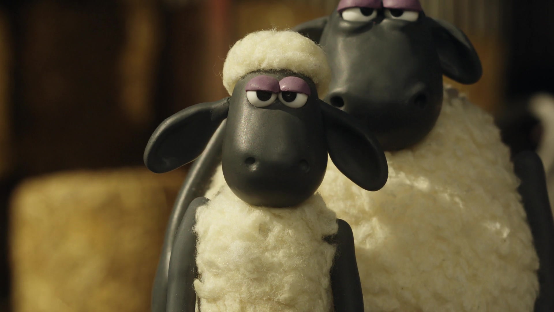 Watch Shaun The Sheep Championsheeps Online | Stream Season 1 Now | Stan