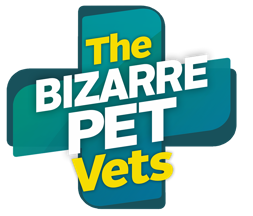 The Bizarre Pet Vets