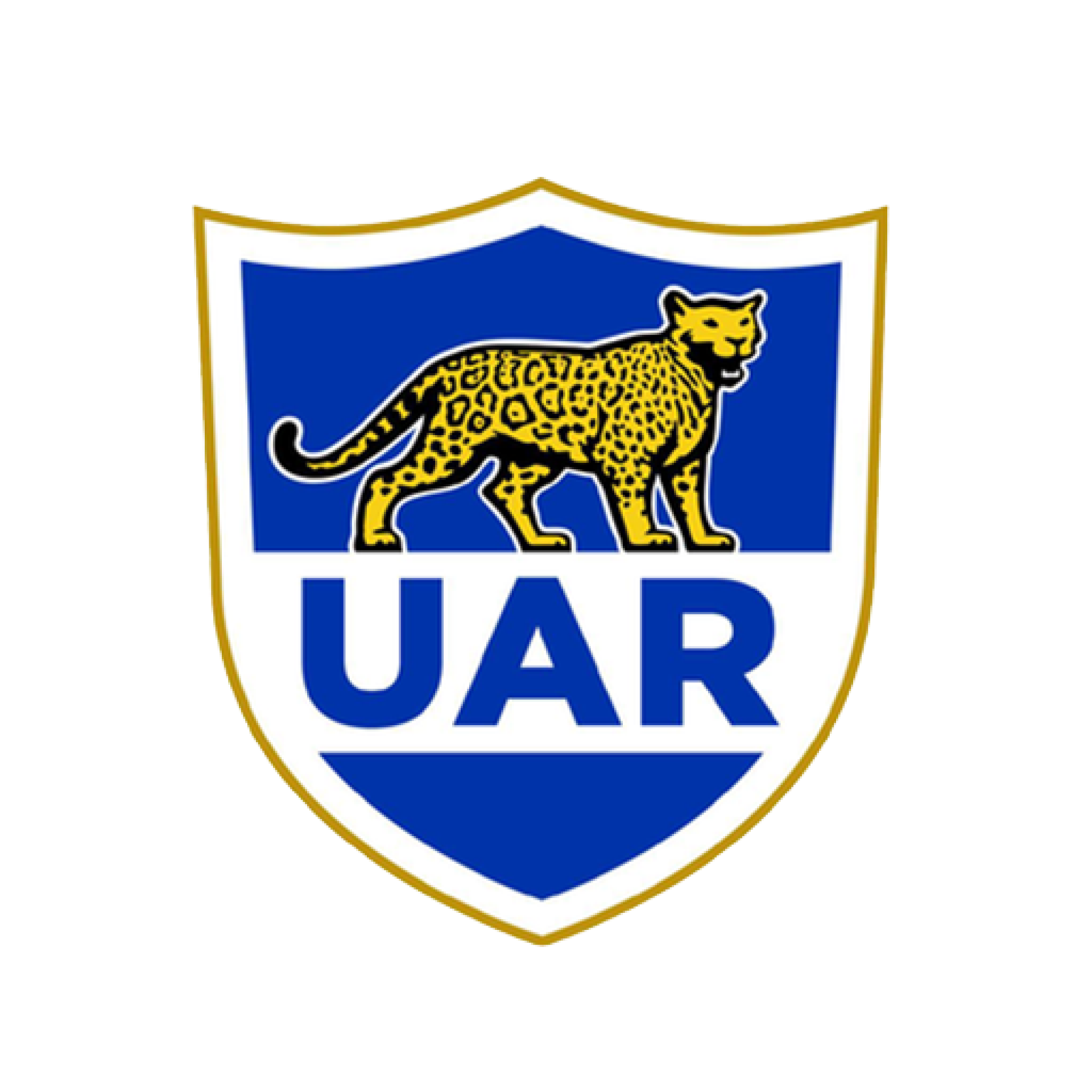 Watch Rugby Internationals on Stan Sport