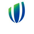 Rugby Internationals Logo